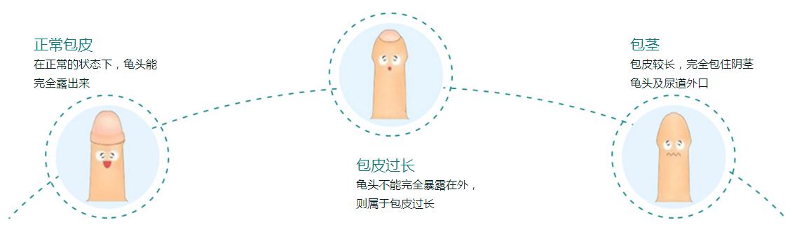微信截图_20171130103730.jpg